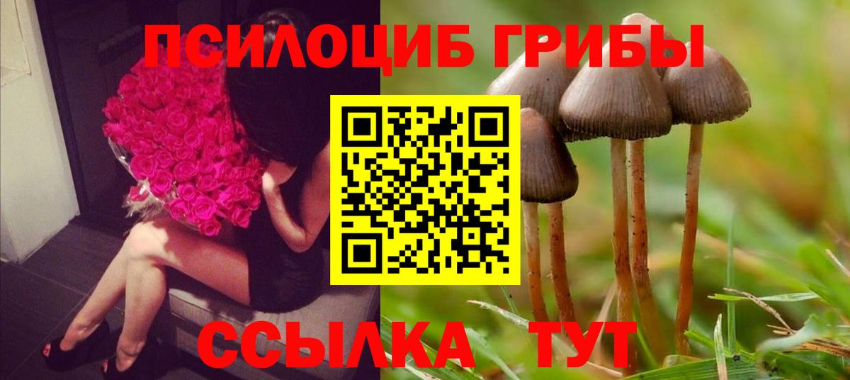 Псилоцибиновые грибы ЛСД Севастополь